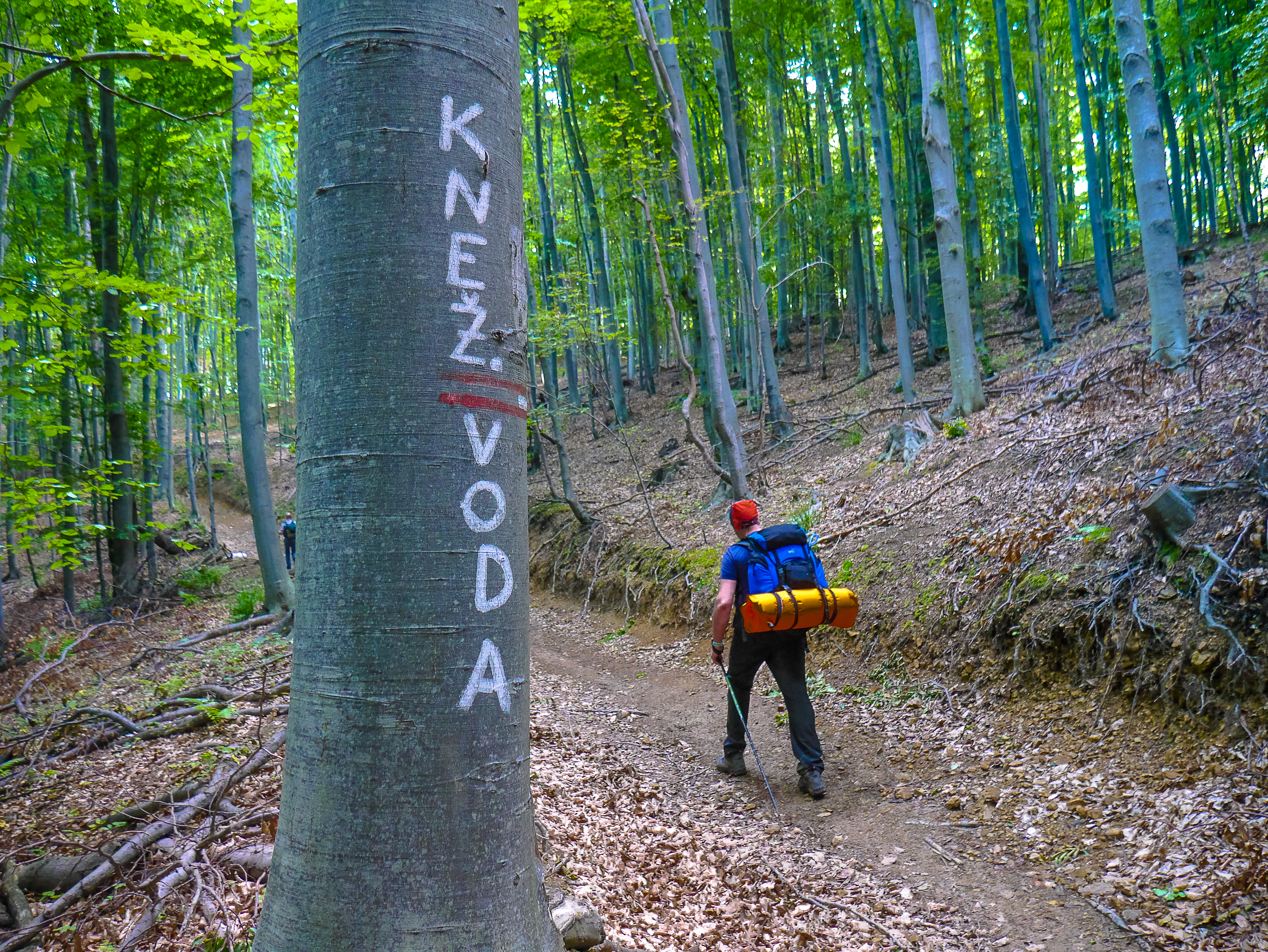 Planinarske aktivnosti