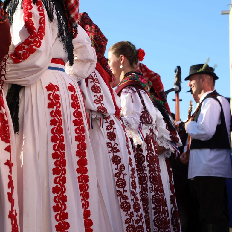 Što možete posjetiti i vidjeti ovog vikenda u Požeško-slavonskoj županiji? Događanja zaista neće nedostajati
