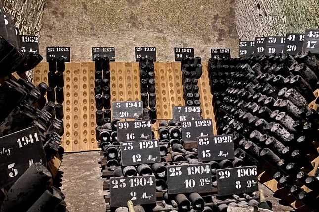 Studijsko putovanje u regiju Champagne - Slika 6