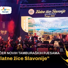 369458849 791505689643623 5114243398574491759 N