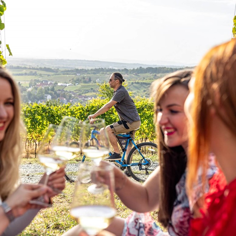 Zlatna Slavonija: sinonim za vrhunsku graševinu