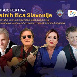 369444453 791505686310290 369717723001103911 N