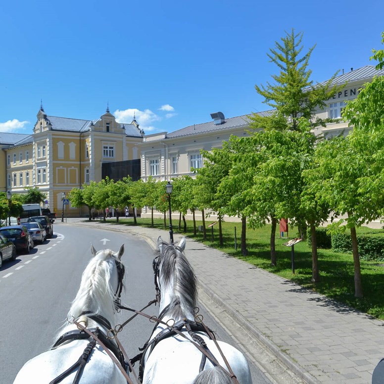 Franciškovo u Lipiku