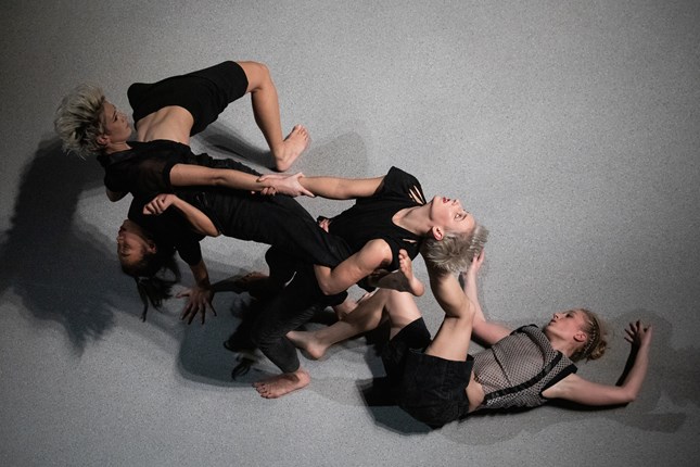 Svi na plesnu predstavu - "Revel, Revel" - Slika 2