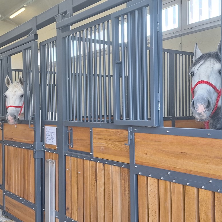 Završena prva faza izgradnje nove ergele u Lipiku koja će postati jedna od najmodernijih u Europi